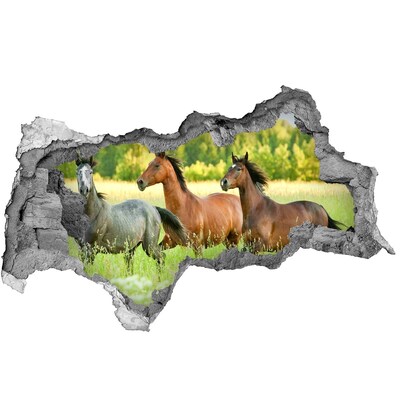 Dziura 3d fototapeta naklejka Konie w galopie