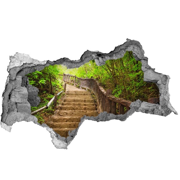 naklejka fototapeta 3D widok Leśna ścieżka w górach