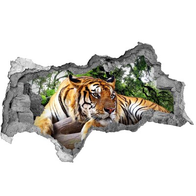 Dziura 3d fototapeta na ścianę Tygrys na skale