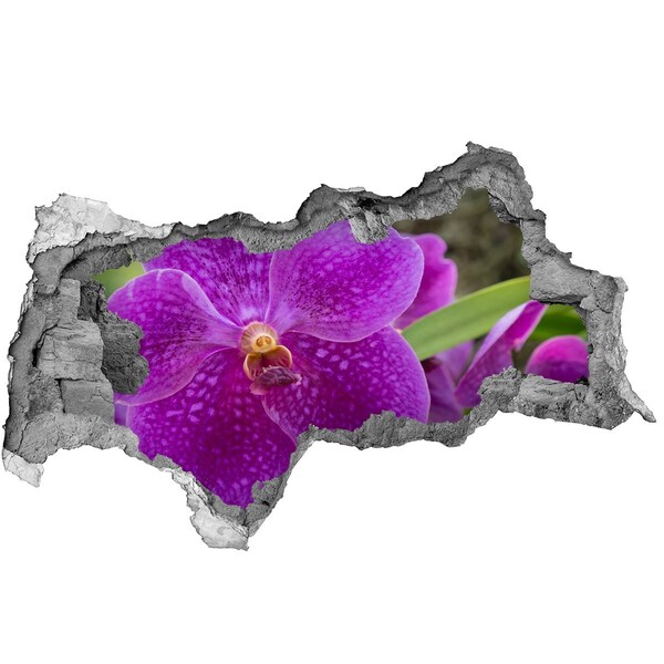 Samoprzylepna dziura naklejka Orchidea