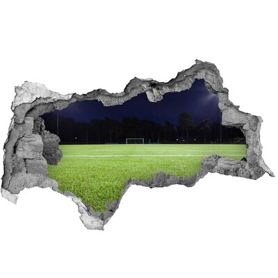 Fototapeta dziura na ścianę 3d Murawa piłkarska