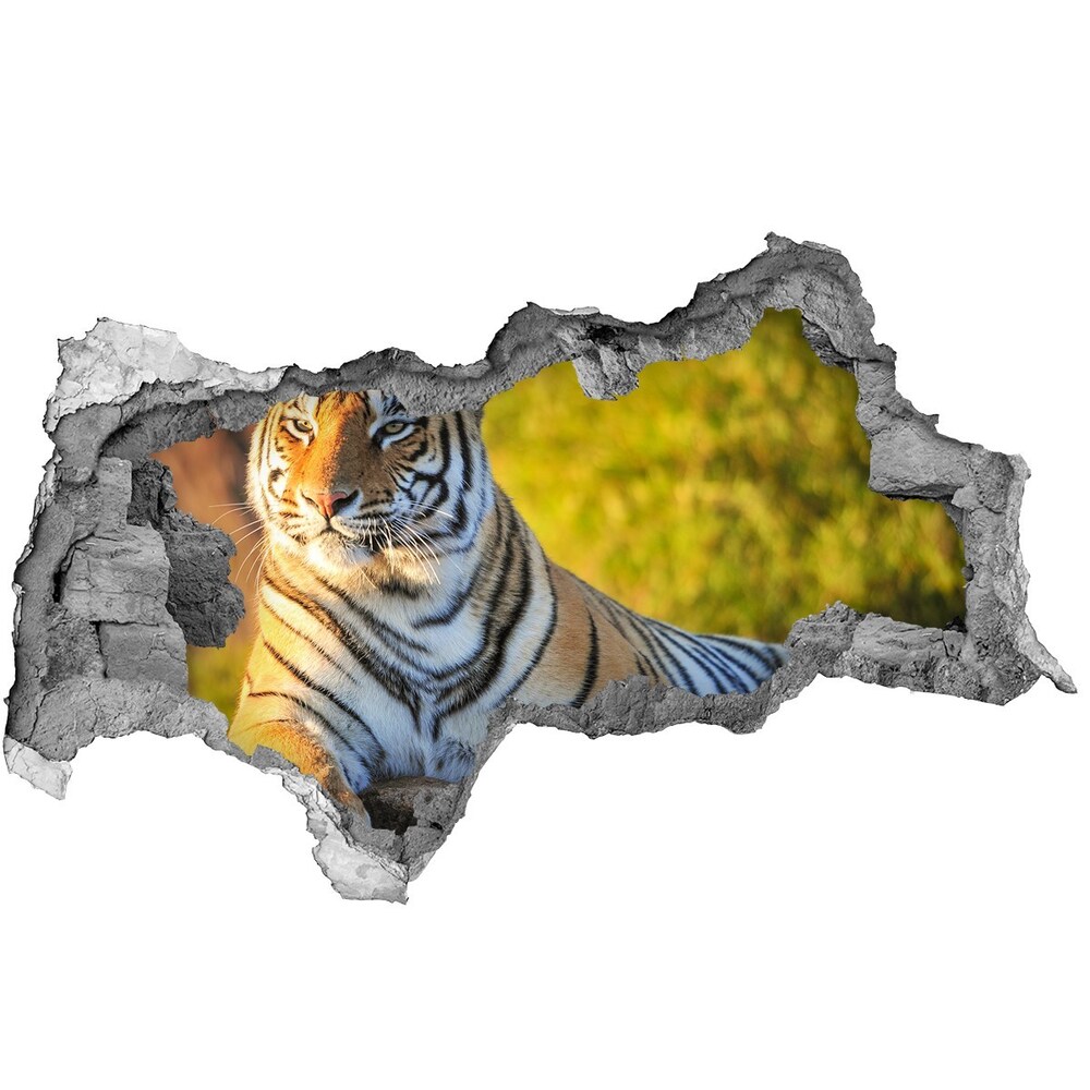 Dziura 3d fototapeta naklejka Portret tygrysa