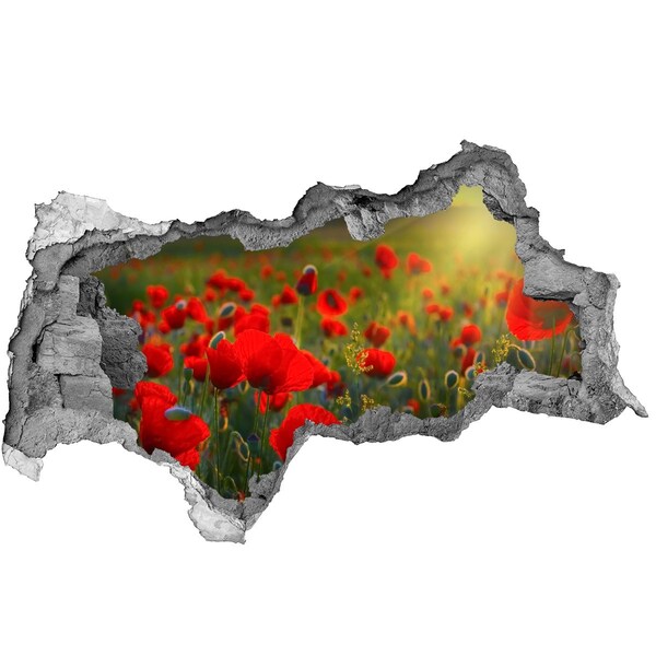 naklejka fototapeta 3D widok Kwiatowy raj w dziurze w ścianie