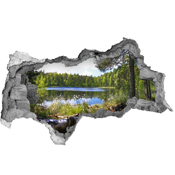 naklejka fototapeta 3D na ścianę Leśna panorama