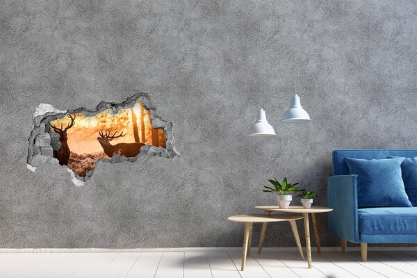 Dziura 3d fototapeta naklejka Wschód słońca w lesie