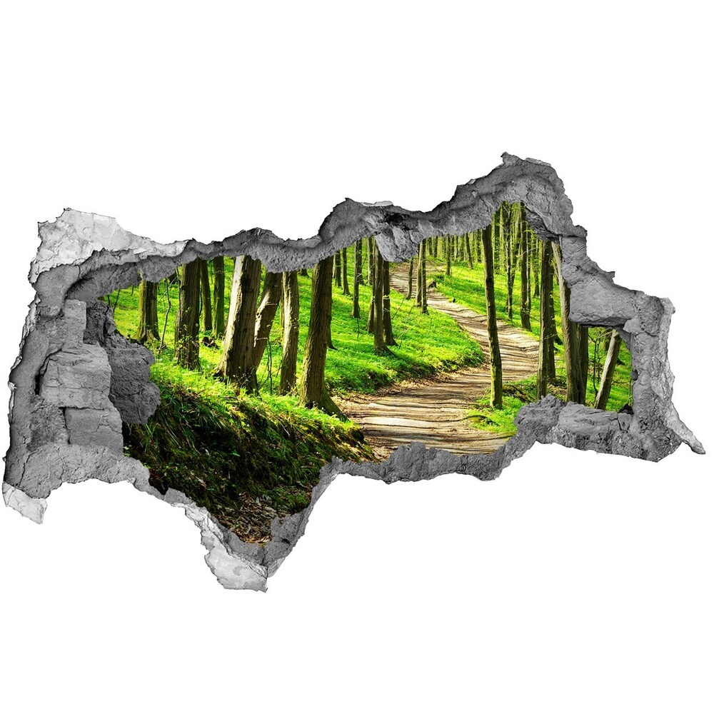 naklejka fototapeta 3D widok Ścieżka w lesie