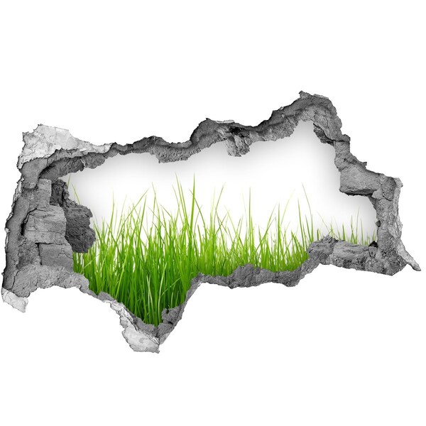 Samoprzylepna dziura naklejka beton Zielona łąka za ścianą