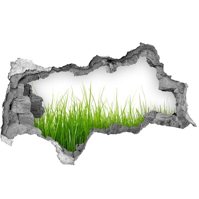 Samoprzylepna dziura naklejka beton Zielona łąka za ścianą