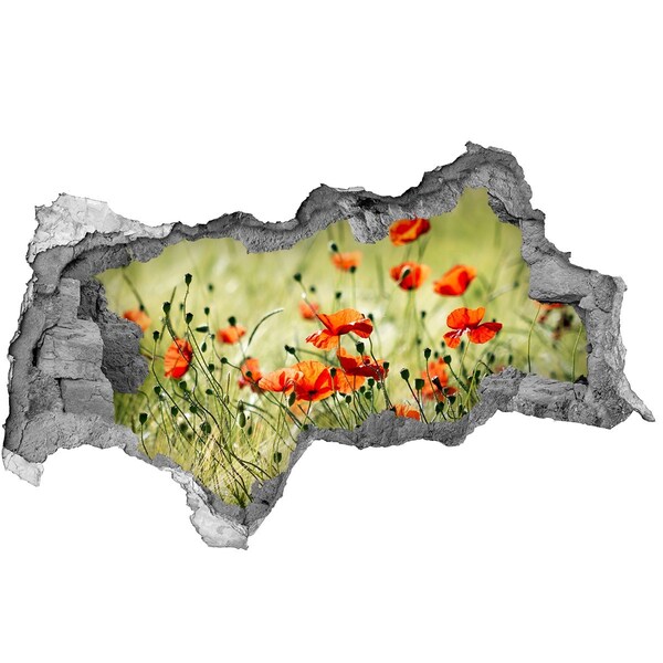 Samoprzylepna dziura naklejka beton Kwiatowy raj wśród maków