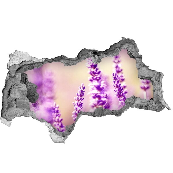Samoprzylepna dziura naklejka beton Lawenda