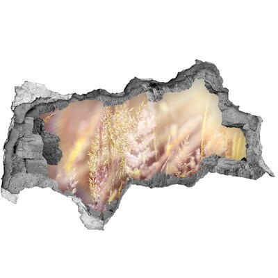 Samoprzylepna dziura naklejka Kwiatowa łąka za ścianą