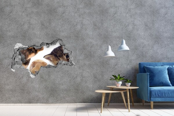 Dziura 3d fototapeta naklejka Zwierzęta zza ściany