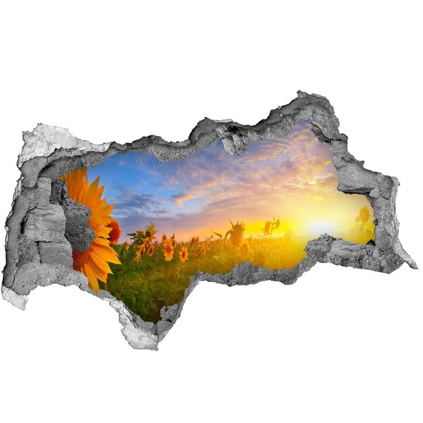 naklejka fototapeta 3D Słoneczniki w zachodzącym słońcu