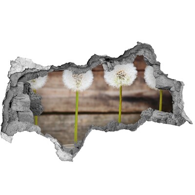 Samoprzylepna dziura naklejka Kwiaty dmuchawce w ruinie