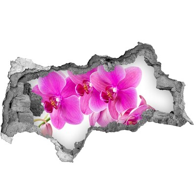 Samoprzylepna dziura naklejka Różowa orchidea