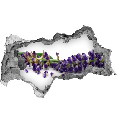 Samoprzylepna dziura naklejka beton Lawenda