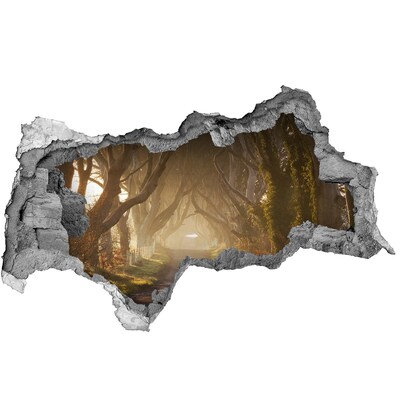 naklejka fototapeta 3D widok Droga wśród drzew