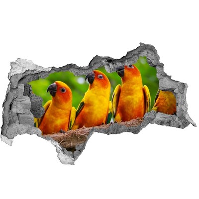 Dziura 3d fototapeta naklejka Papugi na gałęzi