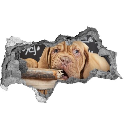 Dziura 3d fototapeta Słodki szczeniak wśród książek