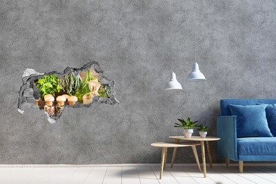 Naklejka 3D dziura okleina Ziołowy zakątek w kuchni