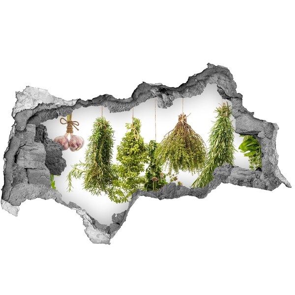 Naklejka dziura na ścianę beton Ziołowy ogród w ruinie