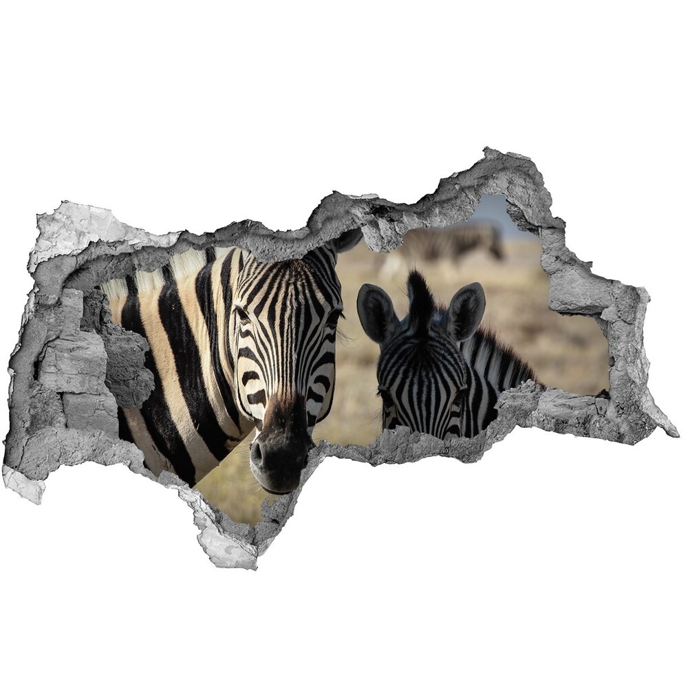 Dziura 3d fototapeta naklejka Dwie zebry