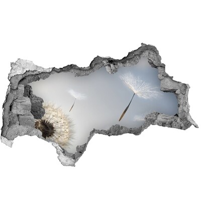 Fototapeta dziura na ścianę Dmuchawce w chmurach