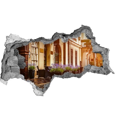 Fototapeta dziura na ścianę 3d Urokliwy kącik z lawendą