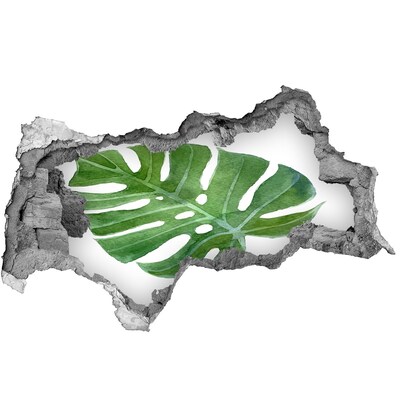 Naklejka 3D dziura na ścianę beton Monstera