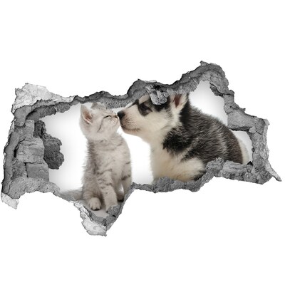 Dziura 3d fototapeta naklejka Pies i kot