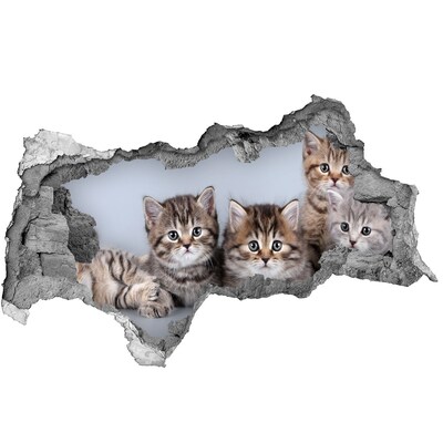 Dziura 3d fototapeta naklejka Pięć kotów