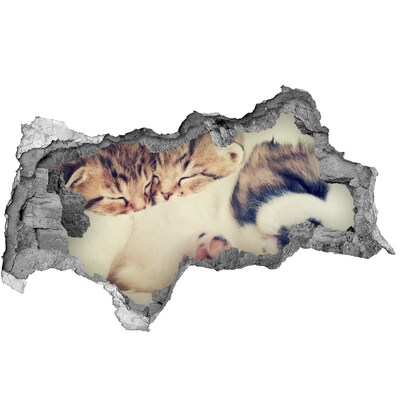 Dziura 3d fototapeta na ścianę Dwa koty i pies
