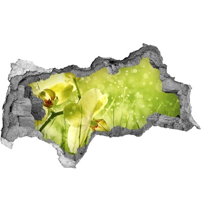 Samoprzylepna dziura naklejka Kwiatowa oaza w zieleni