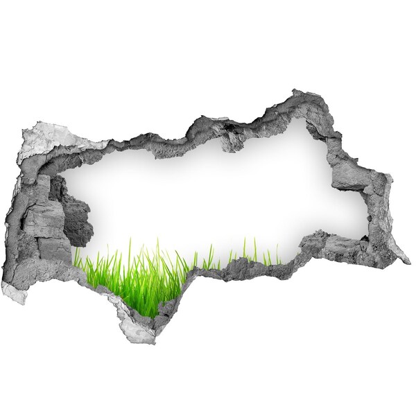 Samoprzylepna naklejka Zielona łąka za ścianą