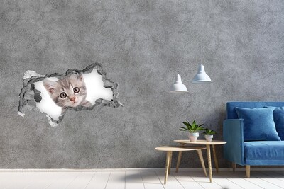 Dziura 3d fototapeta na ścianę Szary kot