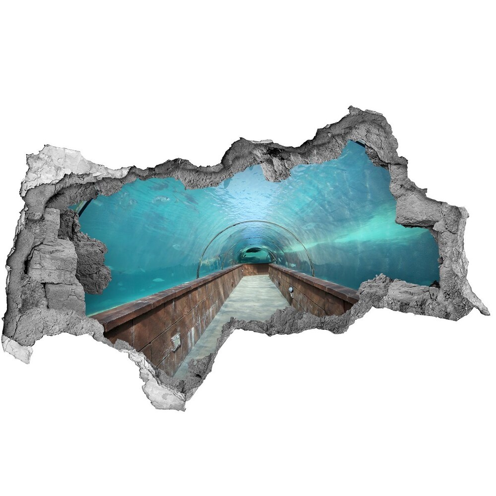 Fototapeta dziura na ścianę 3d Tunel akwarium
