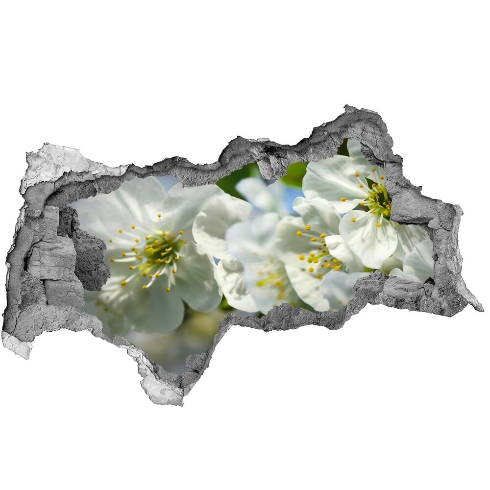 Samoprzylepna dziura naklejka Kwiat wiśni
