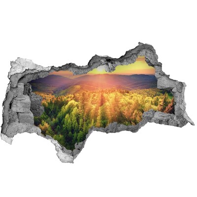 naklejka fototapeta 3D Las zachód słońca