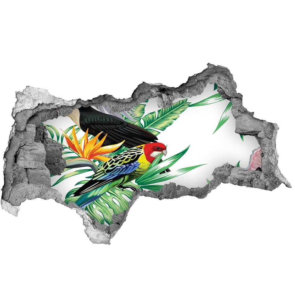Dziura 3d fototapeta ścienna Tropikalne ptaki