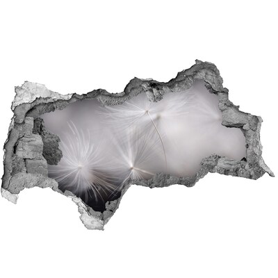 Samoprzylepna dziura naklejka Dmuchawce w betonie