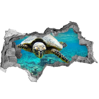 Dziura 3d fototapeta naklejka Żółw morski