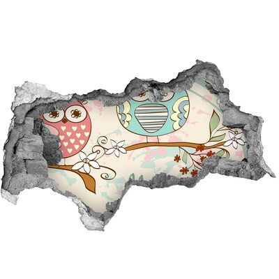 Fototapeta dziura na ścianę Sowa w dziurze w ścianie