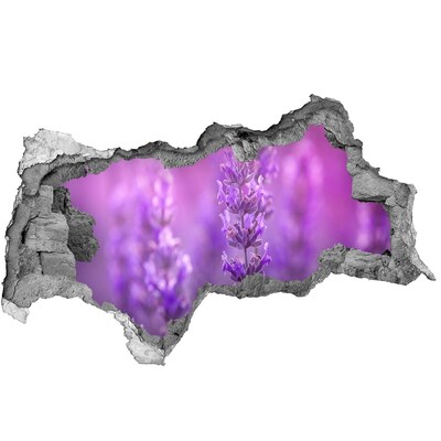 Samoprzylepna dziura naklejka beton Kwiaty lawendy w świetle poranka