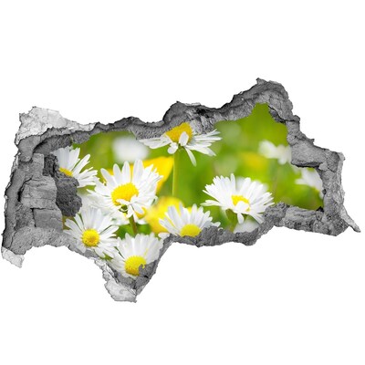 Samoprzylepna dziura naklejka Kwiaty na łące