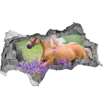 Dziura 3d fototapeta Koń na polu lawendy