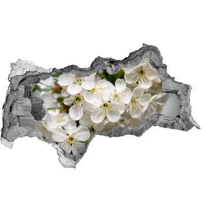 Samoprzylepna dziura naklejka Kwiaty wiśni