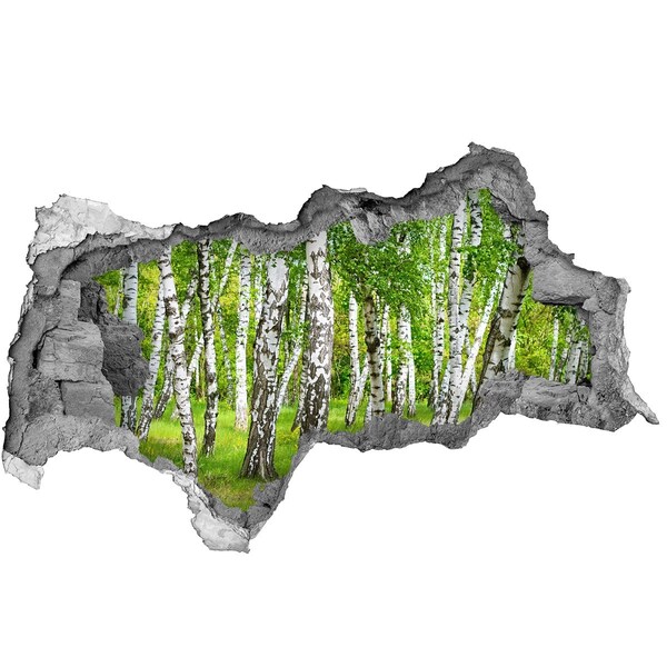 naklejka fototapeta 3D widok Brzozowy las