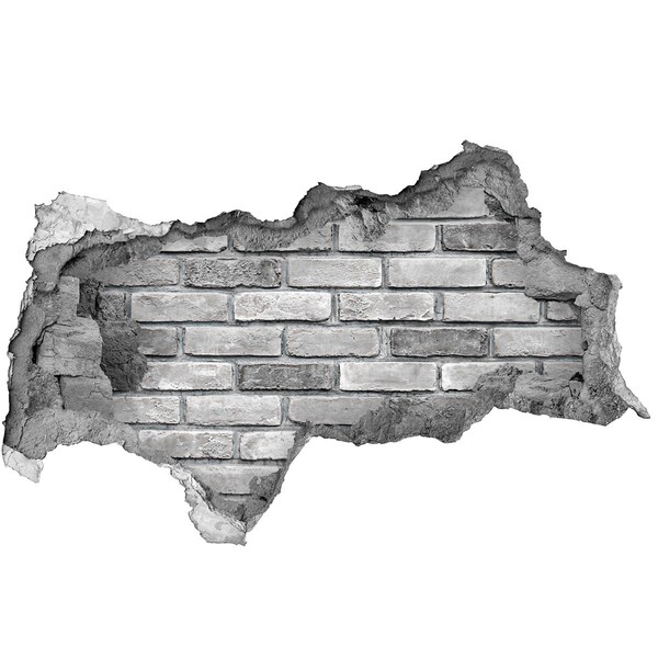 Fotoobraz dziura na ścianę Uszkodzona ściana z cegłami