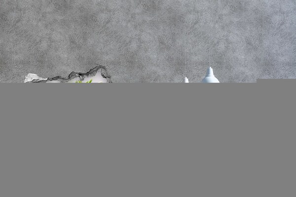 Fototapeta dziura na ścianę Kwiatowy raj za ścianą