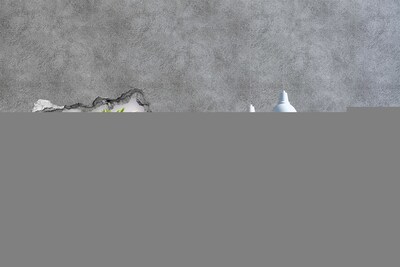 Fototapeta dziura na ścianę Kwiatowy raj za ścianą